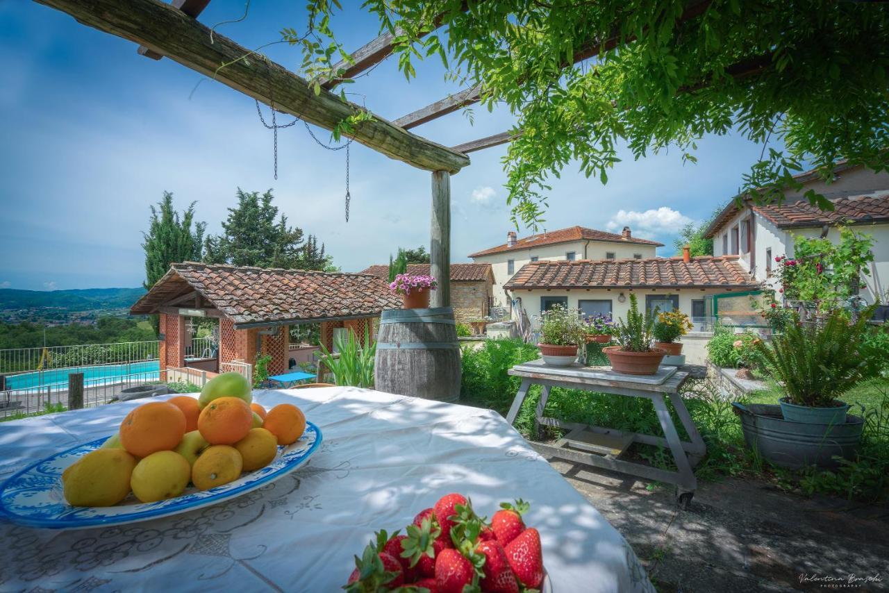 Agriturismo Corzano Barberino di Mugello Exteriör bild